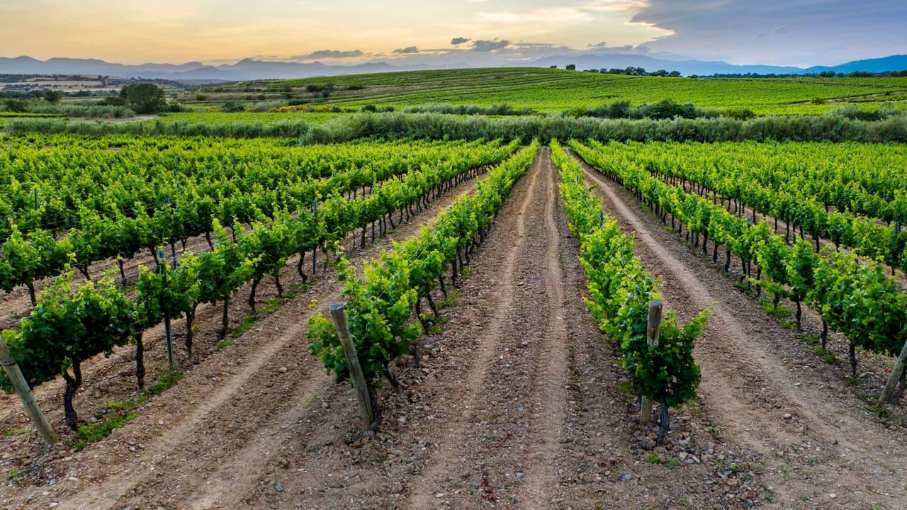 Historia de Naturall Fruits